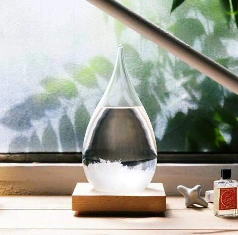 The Storm Glass Crystal-Shark Find