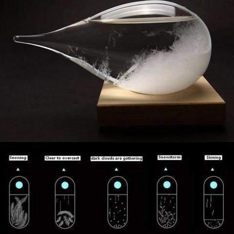The Storm Glass Crystal-Shark Find